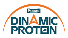 Dinamic Protein