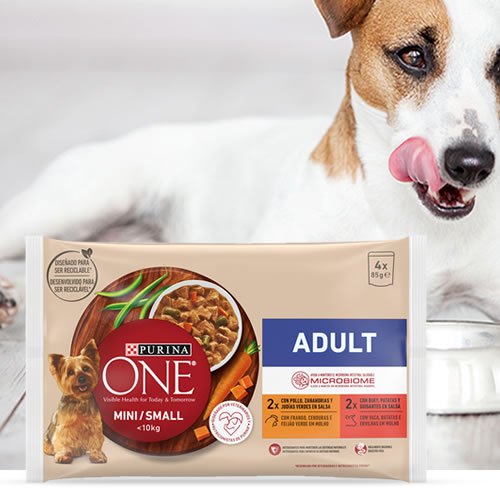 Purina one en DisfrutaBox un rayo de sol